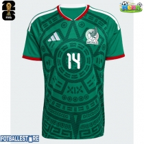 Mexico Erick Sanchez #14 Hjemmedrakt VM 2026 Kortermet